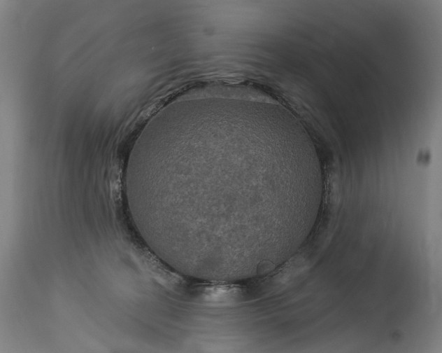 X0000115320274200911161752