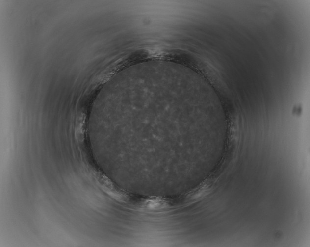 X0000115320275200911161752