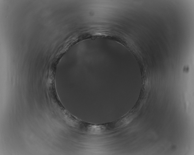 X0000115320277200911161752