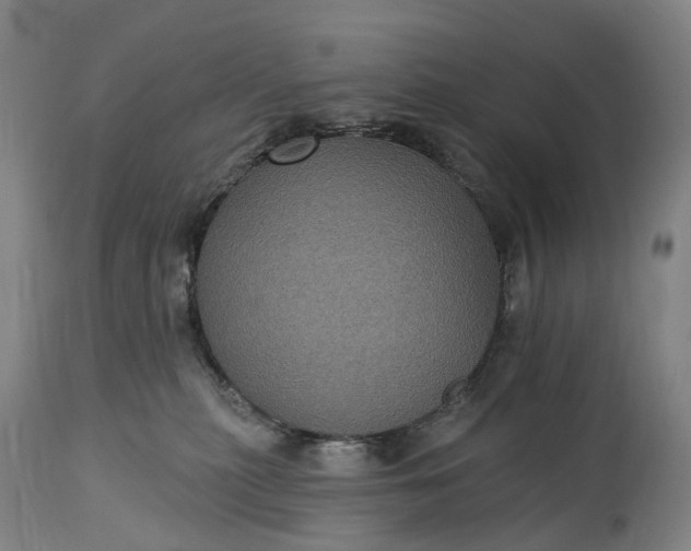 X0000115320279200911161752