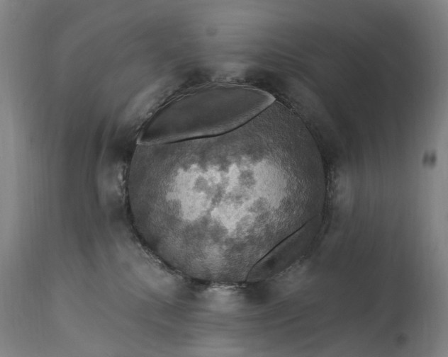 X0000115320280200911161752