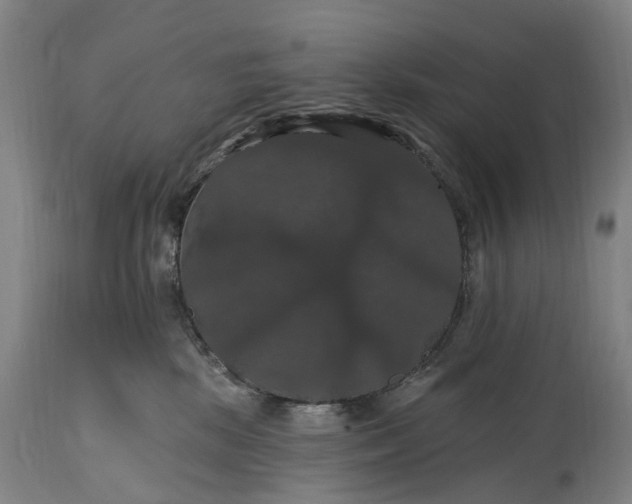 X0000115320281200911161752