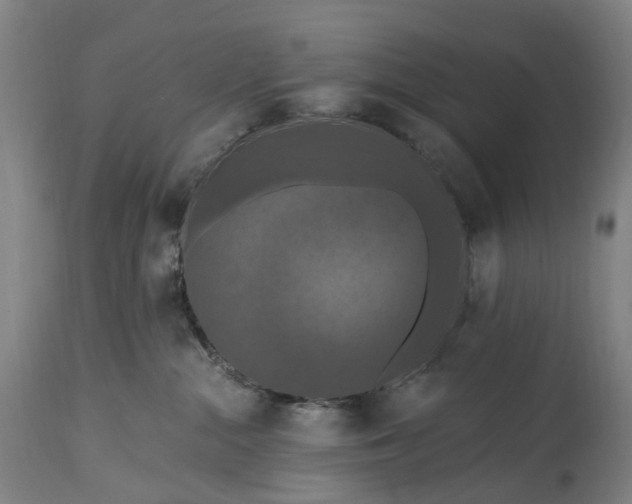 X0000115320284200911161752