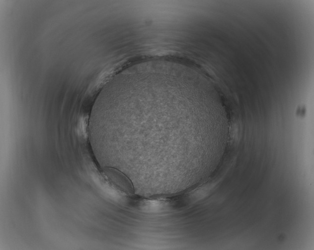 X0000115320286200911161752