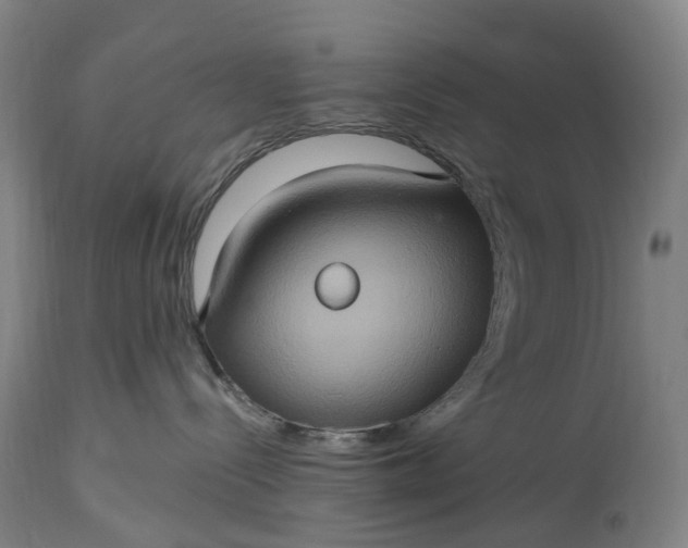 X0000115320288200911161752