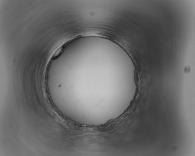 X0000115320289200911161752