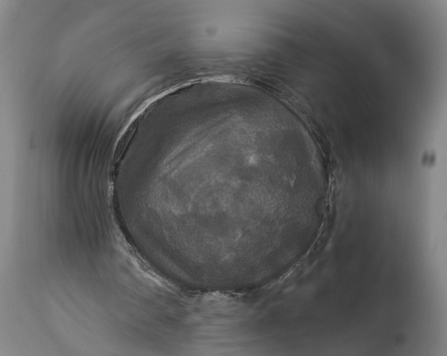 X0000115320290200911161752