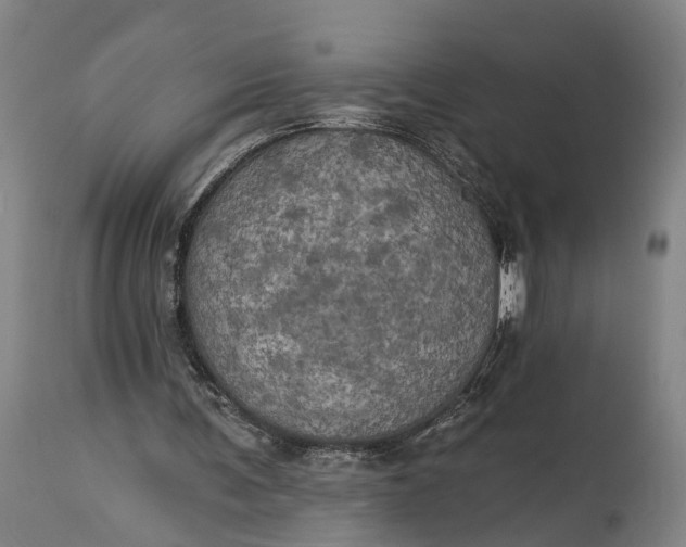 X0000115320291200911161752