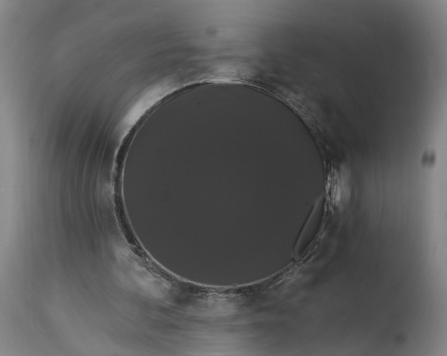 X0000115320292200911161752