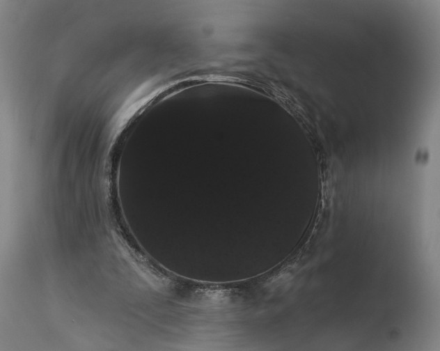 X0000115320295200911161751