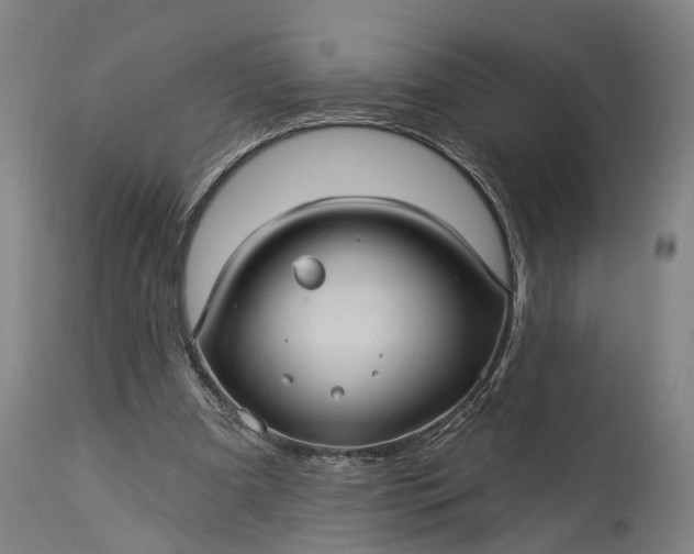 X0000115320297200911161751