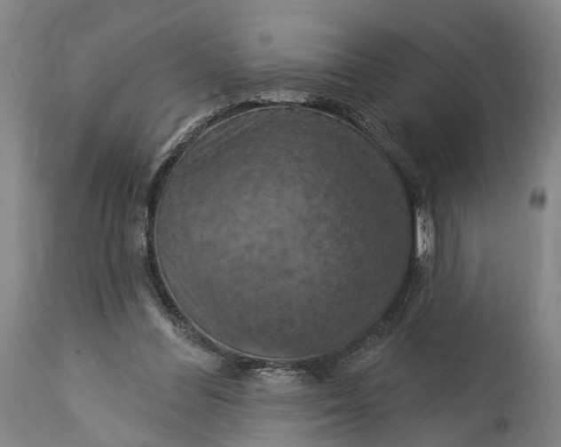 X0000115320300200911161751