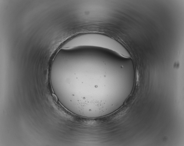 X0000115320301200911161751