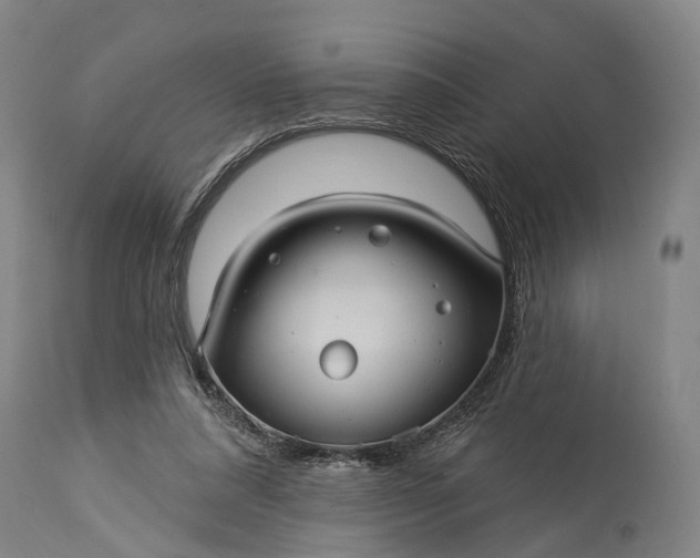 X0000115320304200911161751