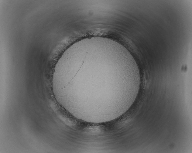 X0000115320307200911161751