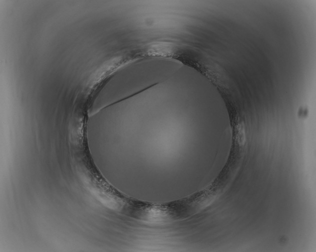 X0000115320308200911161751