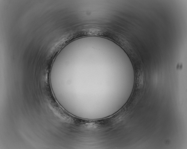 X0000115320310200911161751