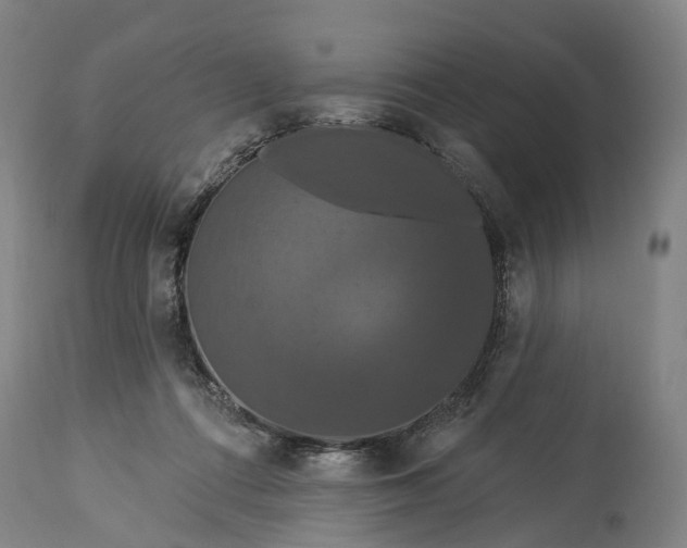 X0000115320312200911161751