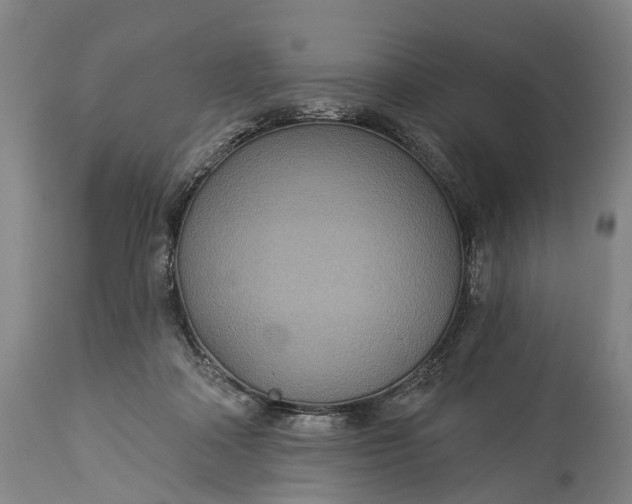 X0000115320314200911161751