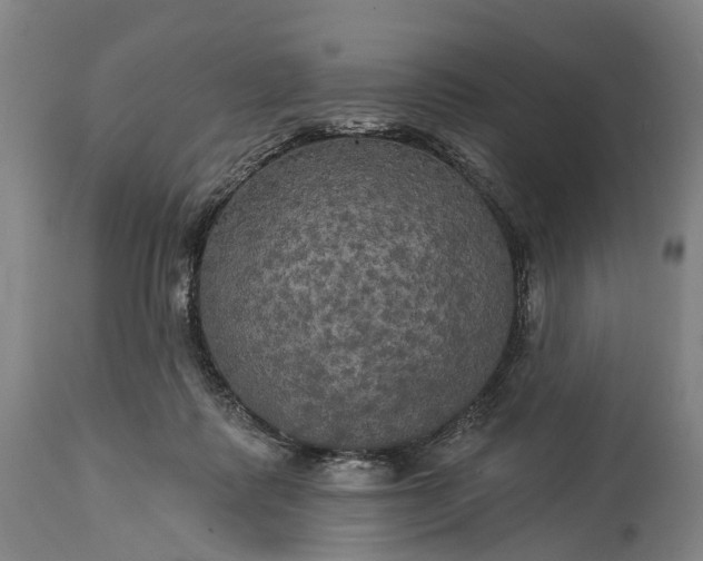 X0000115320315200911161751