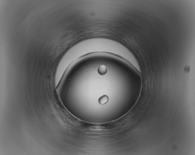 X0000115320316200911161751