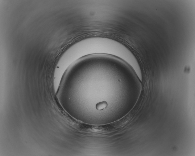 X0000115320317200911161751