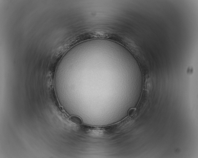 X0000115320318200911161751