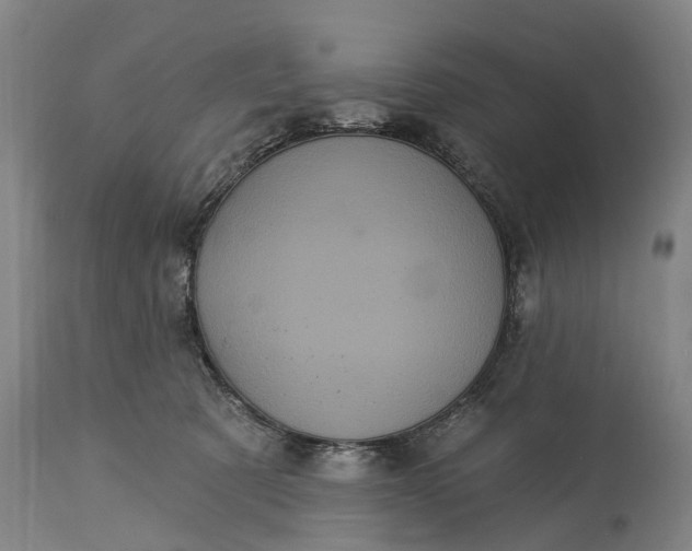 X0000115320321200911161751