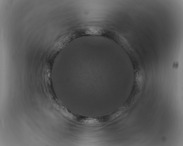 X0000115320322200911161751