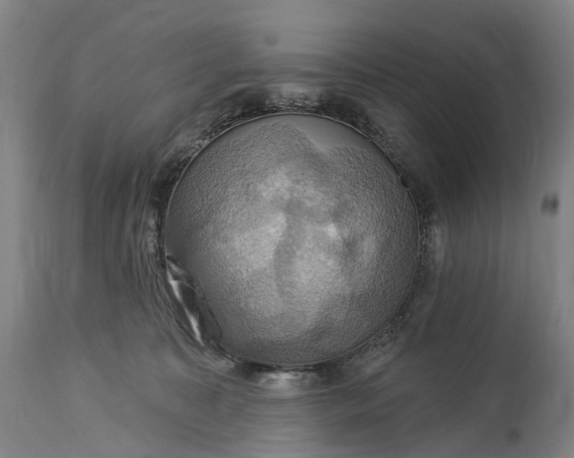 X0000115320323200911161751