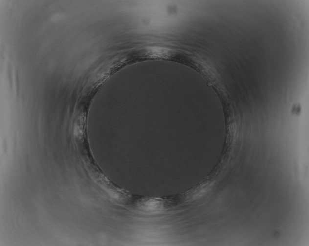 X0000115320325200911161751