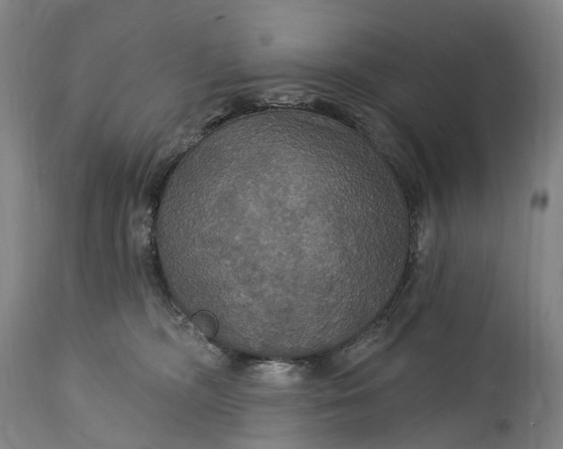 X0000115320326200911161751