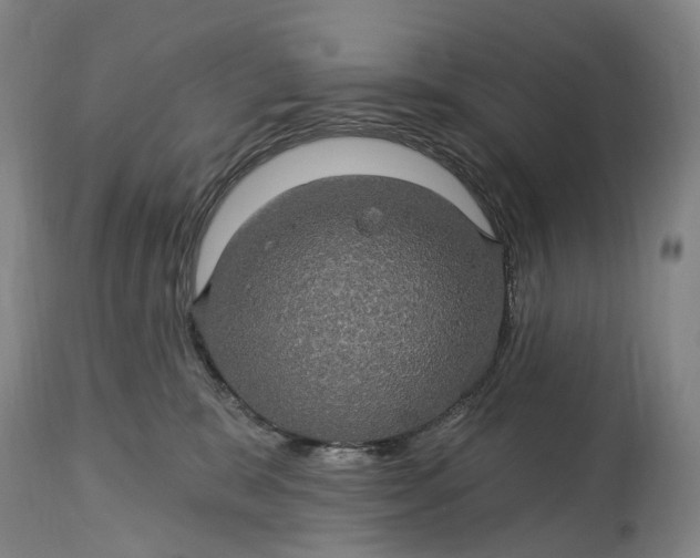 X0000115320327200911161751