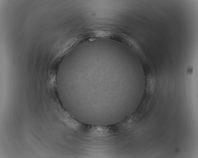 X0000115320329200911161751