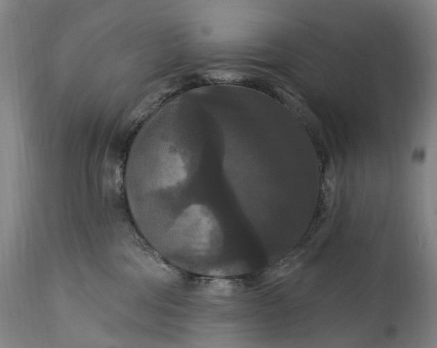 X0000115320330200911161751