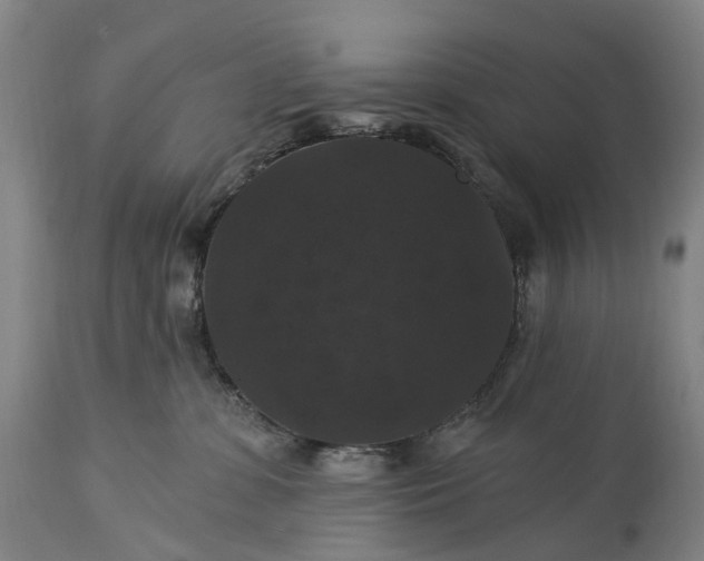 X0000115320331200911161751