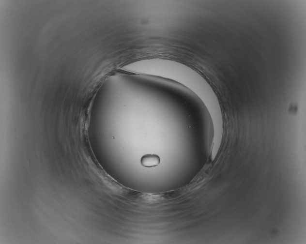 X0000115320333200911161751