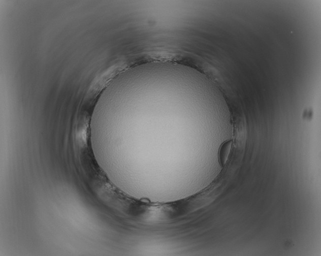 X0000115320334200911161751