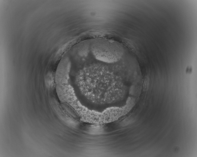 X0000115320335200911161751