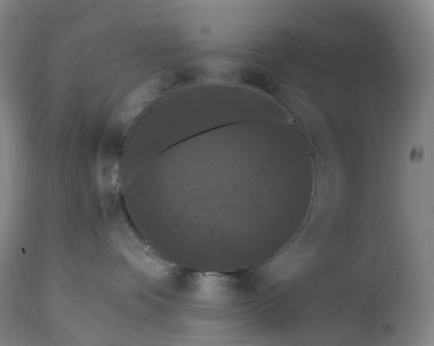 X0000115320336200911161751