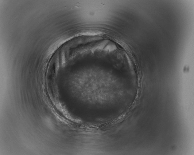 X0000115320337200911161750