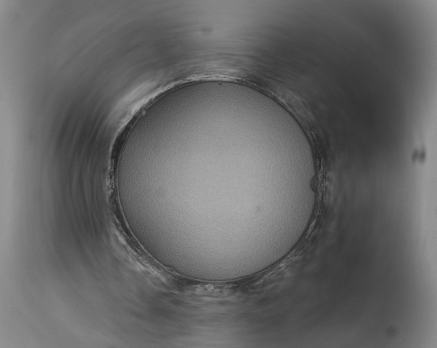 X0000115320338200911161750