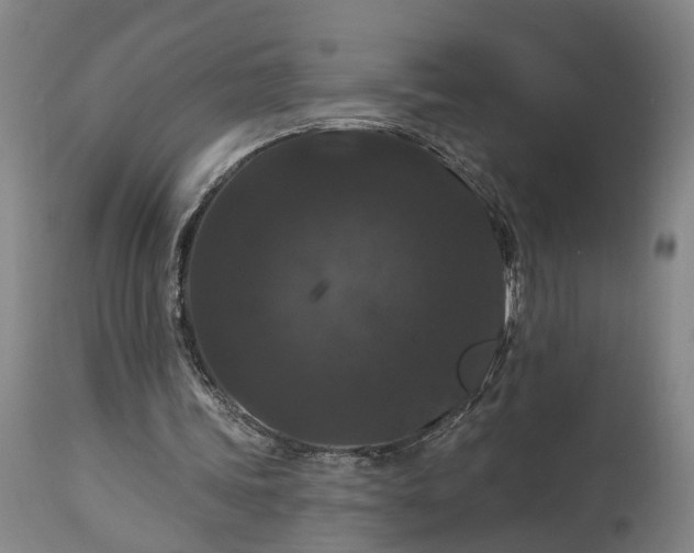 X0000115320339200911161750