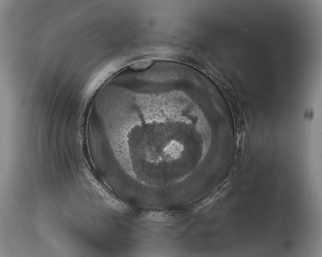 X0000115320341200911161750