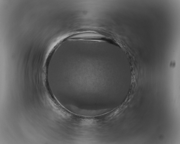 X0000115320342200911161750