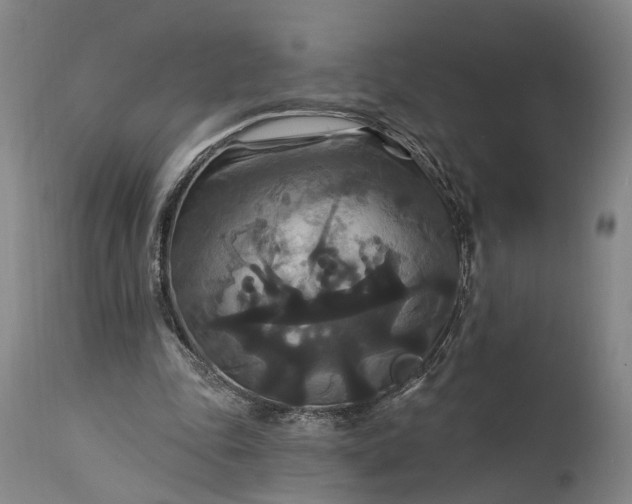 X0000115320343200911161750