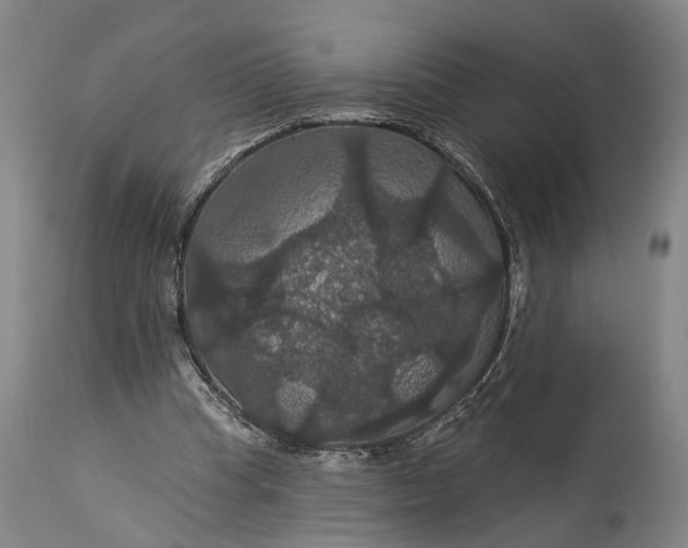 X0000115320345200911161750