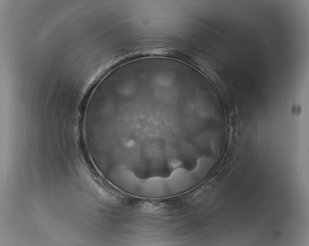 X0000115320346200911161750