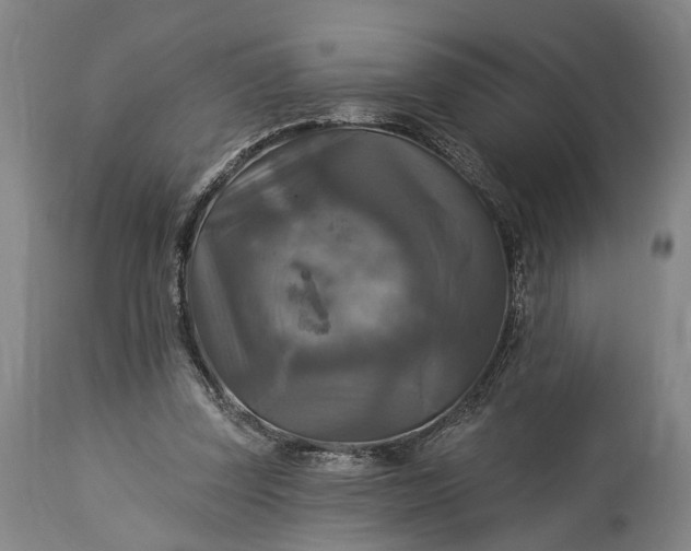 X0000115320347200911161750