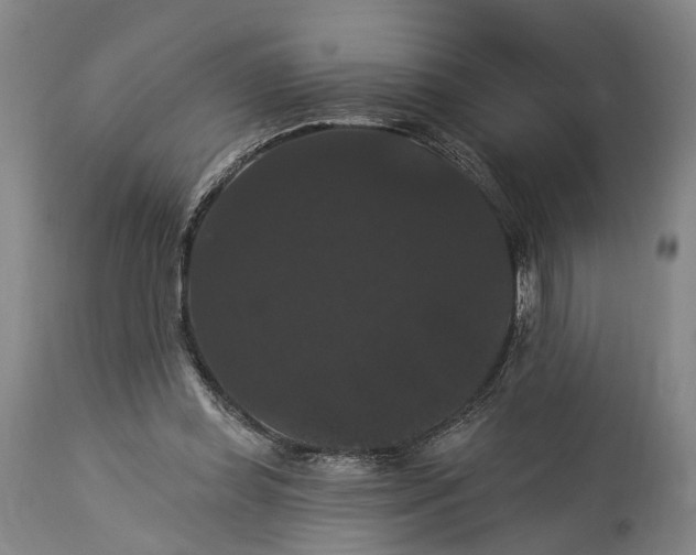 X0000115320349200911161750